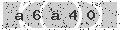 verify code