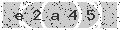 verify code
