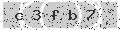 verify code